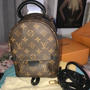 Louis Vuitton Mini Palm Springs Backpack